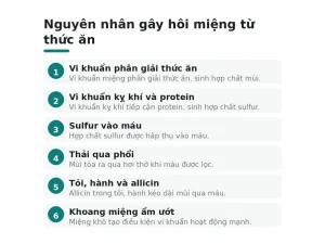 Nguyên nhân gây hôi miệng từ thức ăn