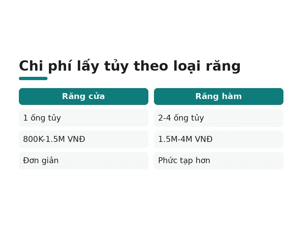 Lấy tủy và chi phí bổ sung