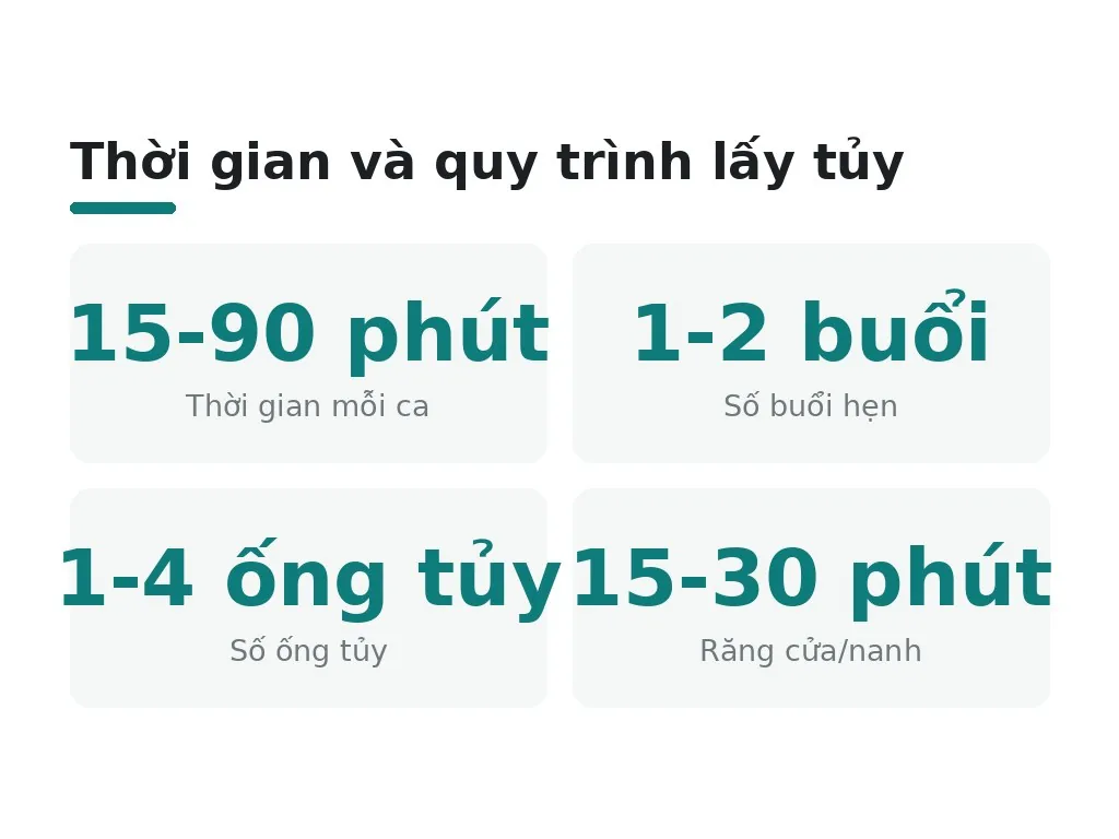 Tủy răng là gì và tại sao cần điều trị