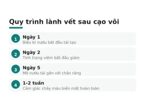 Quy trình lành vết sau cạo vôi
