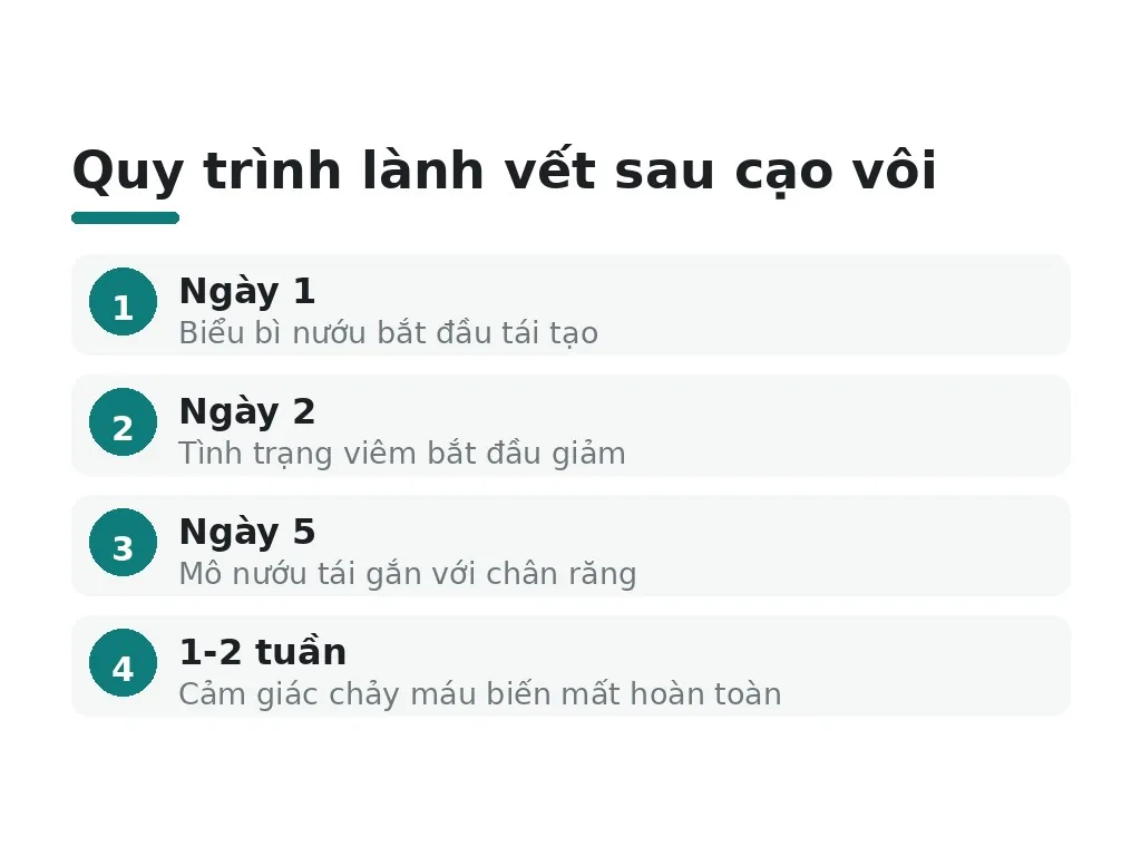 Quy trình lành vết sau cạo vôi