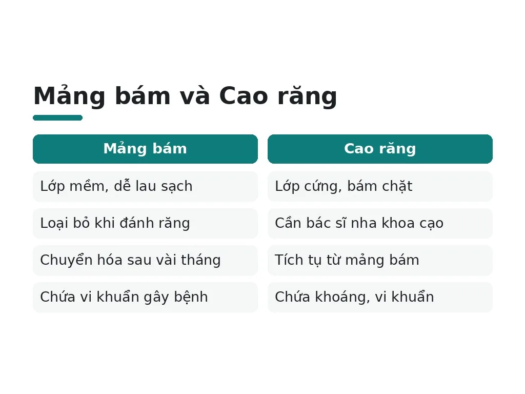 Mảng bám và Cao răng