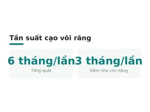 Tần suất cạo vôi răng