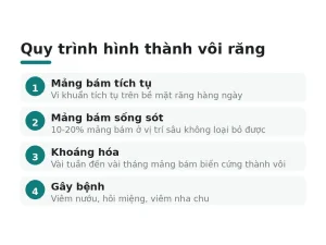 Quy trình hình thành vôi răng