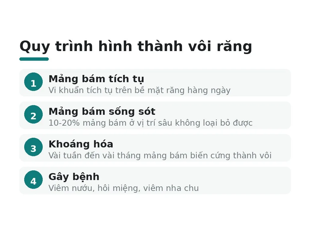 Có nên cạo vôi răng định kỳ không?
