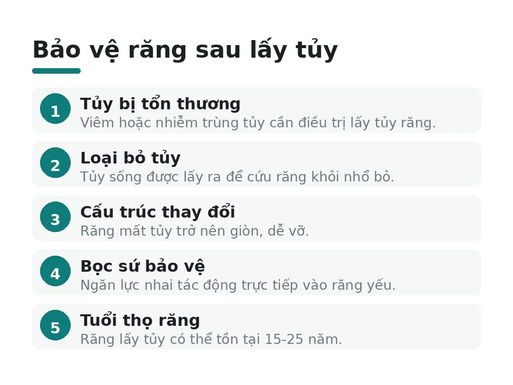 Tủy răng và tại sao phải được bảo vệ sau điều trị
