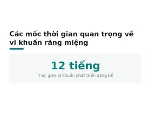 Các mốc thời gian quan trọng về vi khuẩn răng miệng