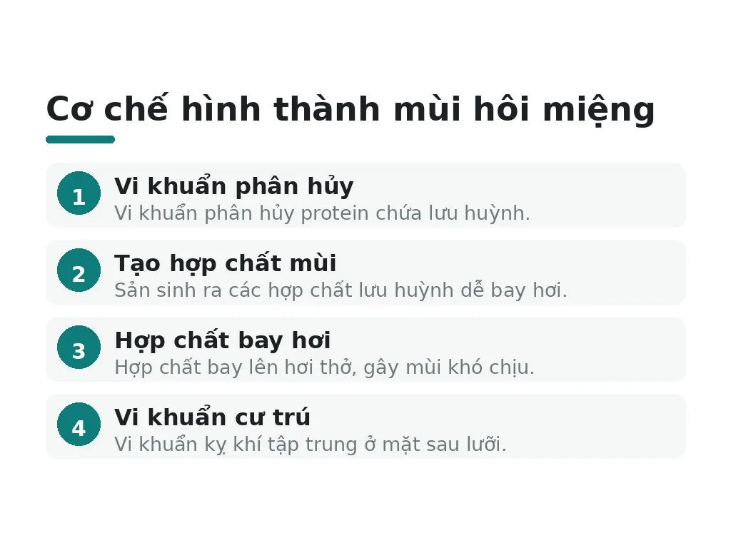 Cơ chế vi khuẩn và hợp chất tạo mùi hôi