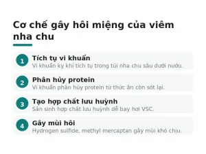 Cơ chế gây hôi miệng của viêm nha chu