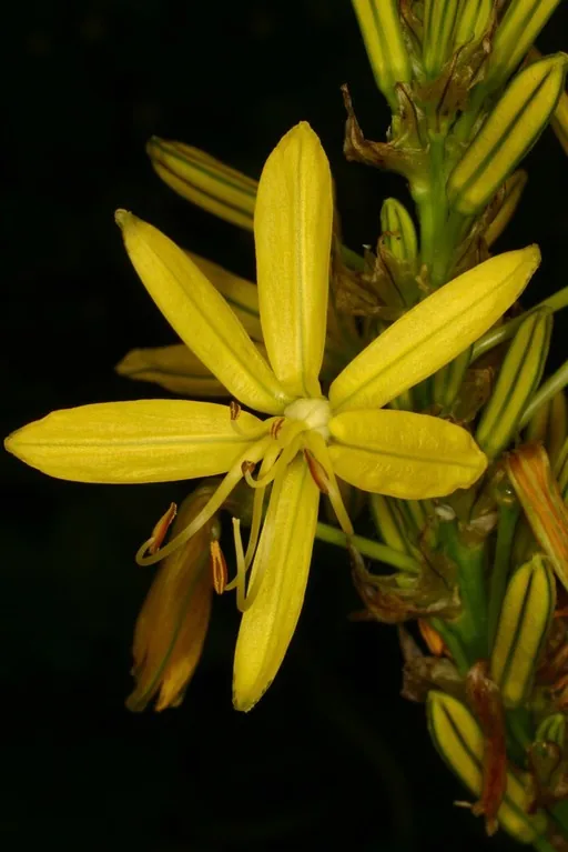 Tóm lại