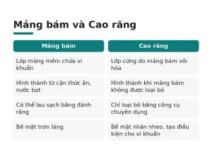 Mảng bám và Cao răng