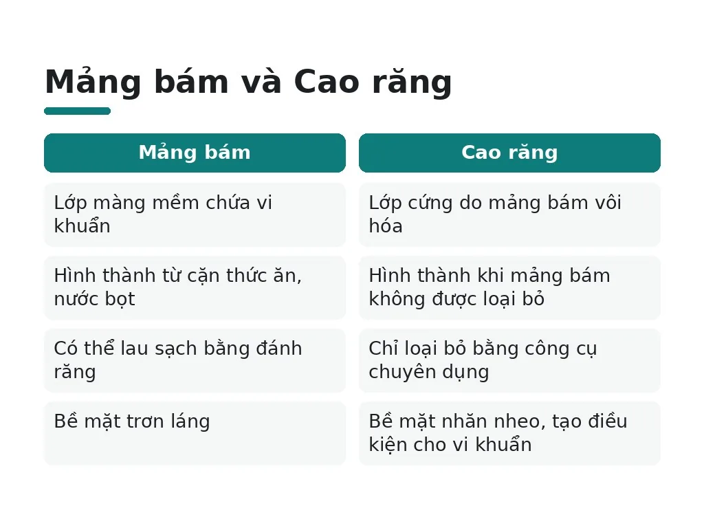 Mảng bám và Cao răng