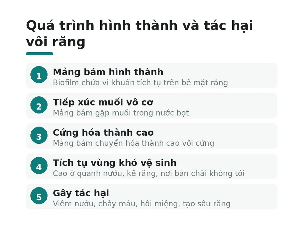 Quá trình hình thành và tác hại vôi răng