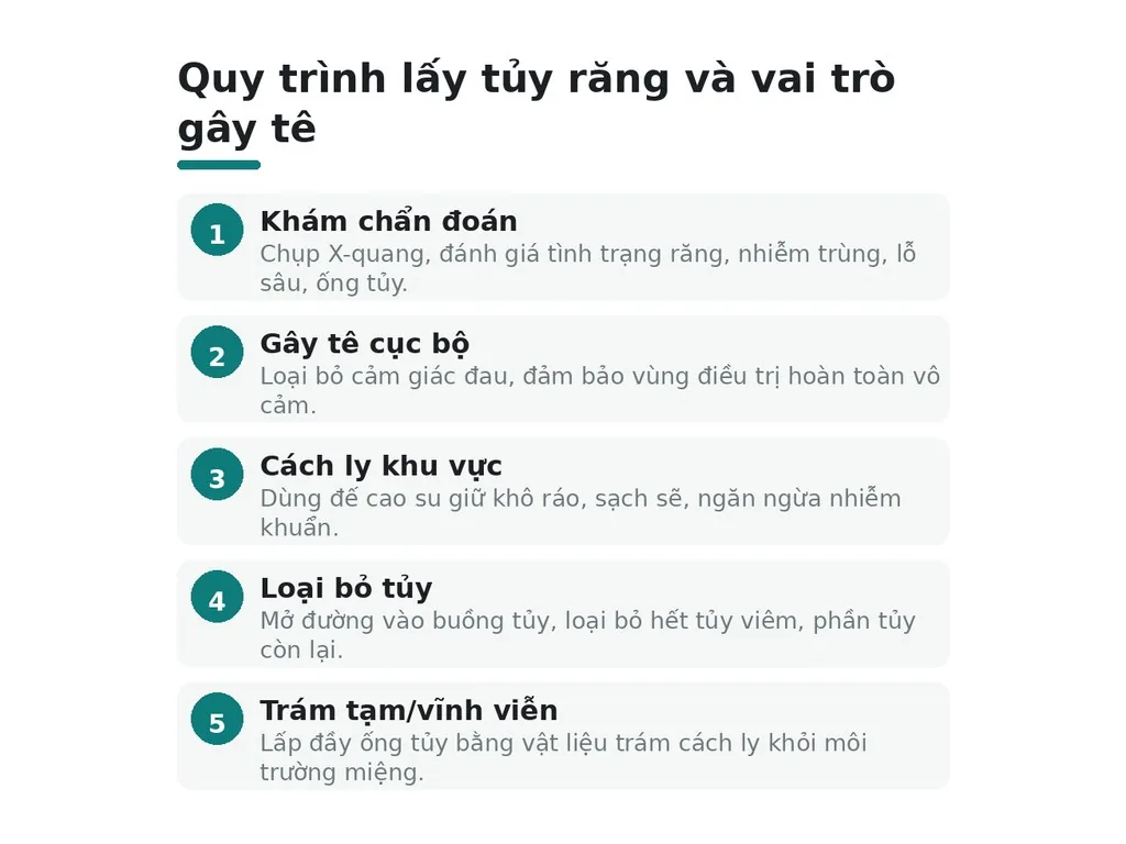 Quy trình lấy tủy và vai trò gây tê trong từng bước