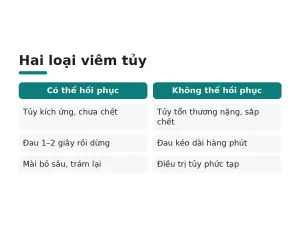 Hai loại viêm tủy