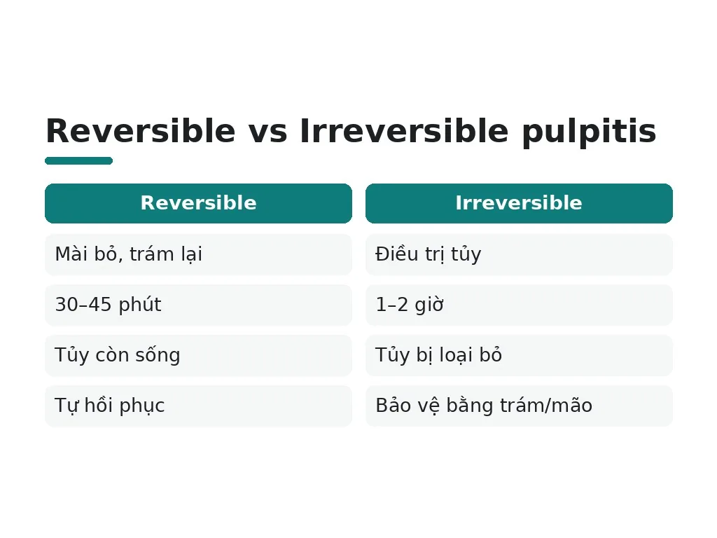Khi nào cần đi khám và điều trị viêm tủy?