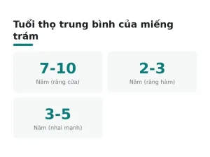 Tuổi thọ trung bình của miếng trám