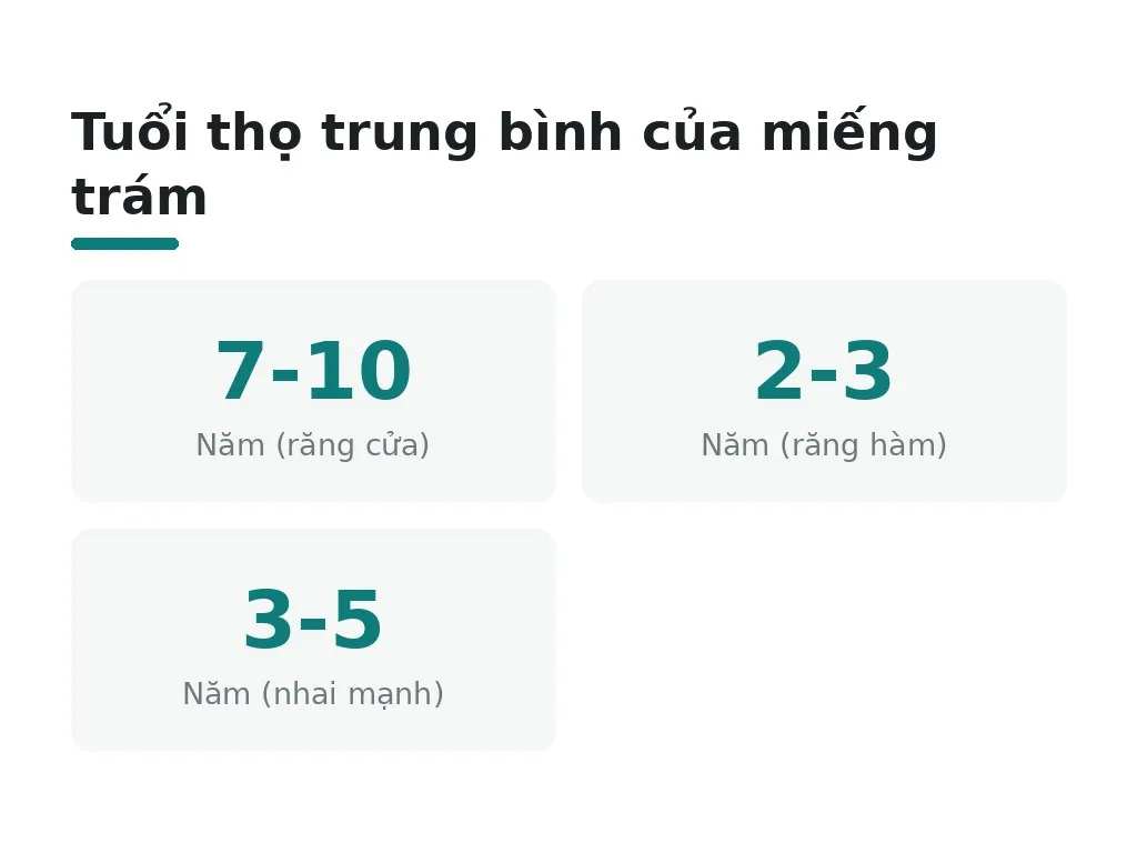 Tuổi thọ trung bình của miếng trám