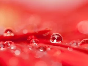 Chăm sóc sau trám: từ ngay sau điều trị đến 1 tuần