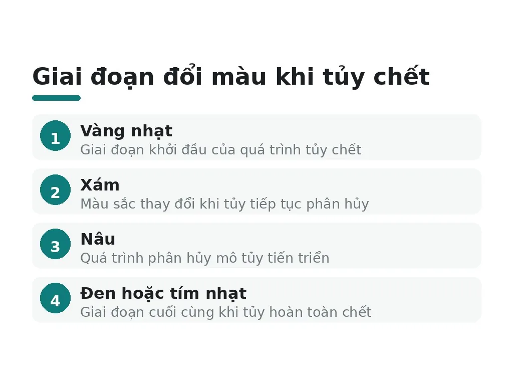 Tủy chết, nguyên nhân và biểu hiện đổi màu